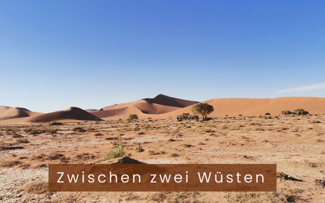 Zwischen zwei Wüsten